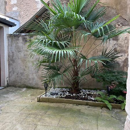 Cosy Appartement Hyper Centre Ville Avec Cour + Patio Auxerre Ngoại thất bức ảnh
