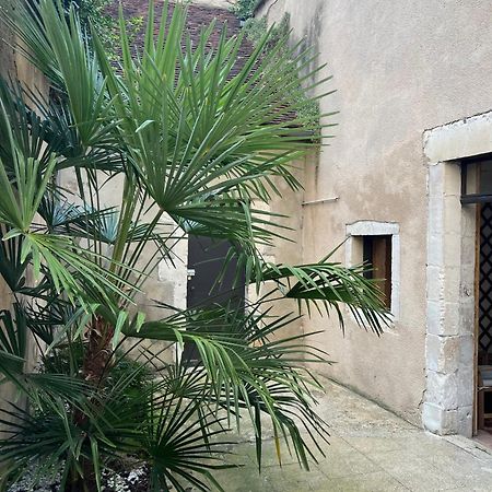 Cosy Appartement Hyper Centre Ville Avec Cour + Patio Auxerre Ngoại thất bức ảnh