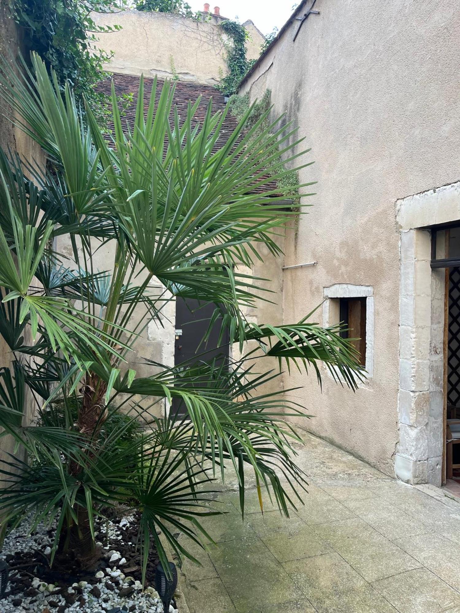 Cosy Appartement Hyper Centre Ville Avec Cour + Patio Auxerre Ngoại thất bức ảnh